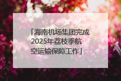 海南机场集团完成2025年荔枝季航空运输保障工作