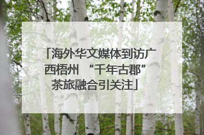 海外华文媒体到访广西梧州 “千年古郡”茶旅融合引关注