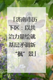 济南市历下区：以共治力量绘就基层矛调新“枫”景