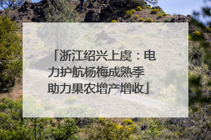 浙江绍兴上虞：电力护航杨梅成熟季 助力果农增产增收