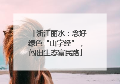 浙江丽水：念好绿色“山字经”，闯出生态富民路