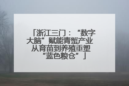 浙江三门：“数字大脑”赋能青蟹产业 从育苗到养殖重塑“蓝色粮仓”