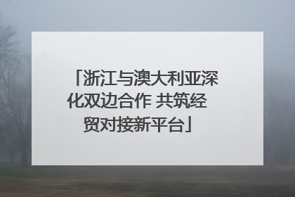 浙江与澳大利亚深化双边合作 共筑经贸对接新平台