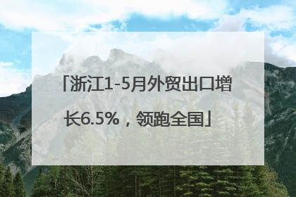浙江1-5月外贸出口增长6.5%，领跑全国