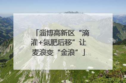 淄博高新区“滴灌+氮肥后移”让麦浪变“金浪”