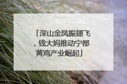 深山金凤振翅飞，钱大妈推动宁都黄鸡产业崛起