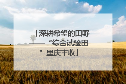 深耕希望的田野——“综合试验田”里庆丰收
