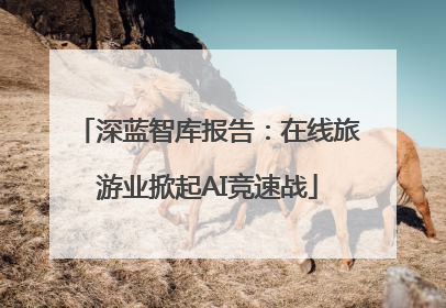 深蓝智库报告：在线旅游业掀起AI竞速战