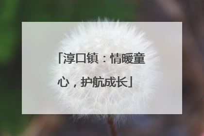 淳口镇：情暖童心，护航成长