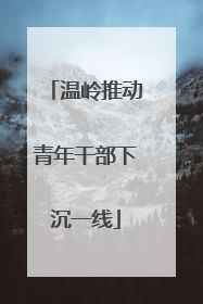 温岭推动青年干部下沉一线