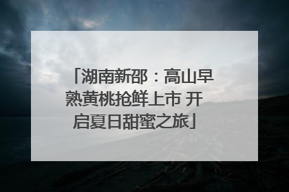 湖南新邵：高山早熟黄桃抢鲜上市 开启夏日甜蜜之旅