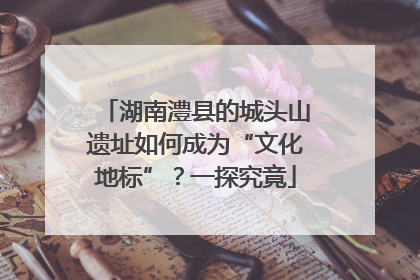 湖南澧县的城头山遗址如何成为“文化地标”？一探究竟