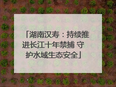 湖南汉寿：持续推进长江十年禁捕 守护水域生态安全