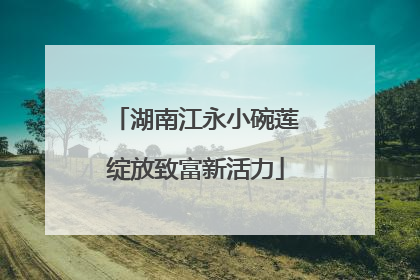 湖南江永小碗莲绽放致富新活力