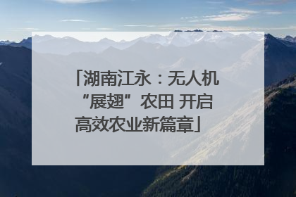 湖南江永：无人机“展翅”农田 开启高效农业新篇章