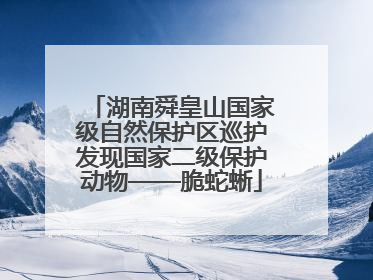 湖南舜皇山国家级自然保护区巡护发现国家二级保护动物——脆蛇蜥