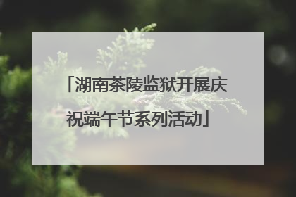 湖南茶陵监狱开展庆祝端午节系列活动