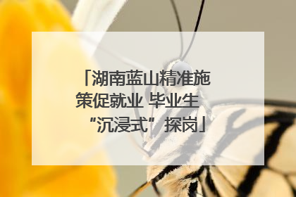 湖南蓝山精准施策促就业 毕业生“沉浸式”探岗