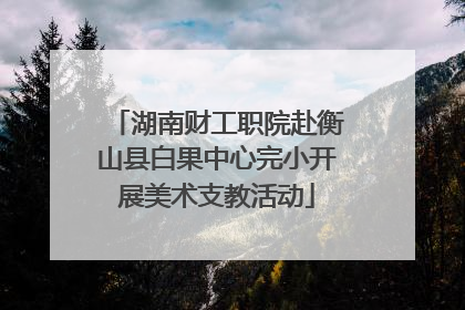 湖南财工职院赴衡山县白果中心完小开展美术支教活动
