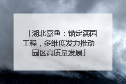 湖北嘉鱼：锚定满园工程，多维度发力推动园区高质量发展
