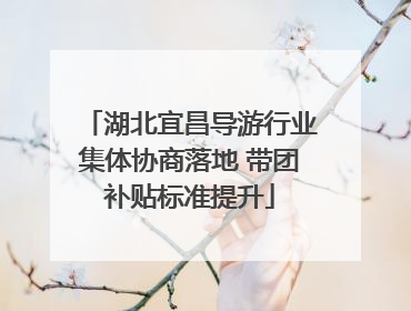 湖北宜昌导游行业集体协商落地 带团补贴标准提升
