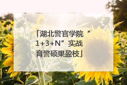 湖北警官学院“1+3+N”实战育警硕果盈枝