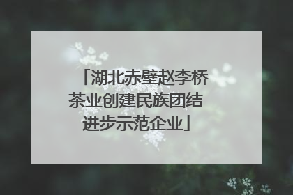 湖北赤壁赵李桥茶业创建民族团结进步示范企业