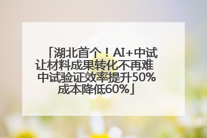 湖北首个！AI+中试让材料成果转化不再难 中试验证效率提升50%成本降低60%