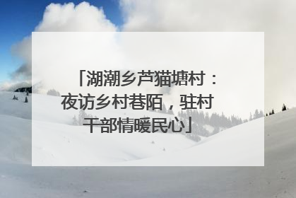 湖潮乡芦猫塘村：夜访乡村巷陌，驻村干部情暖民心