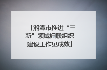 湘潭市推进“三新”领域妇联组织建设工作见成效