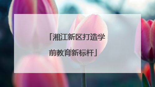 湘江新区打造学前教育新标杆