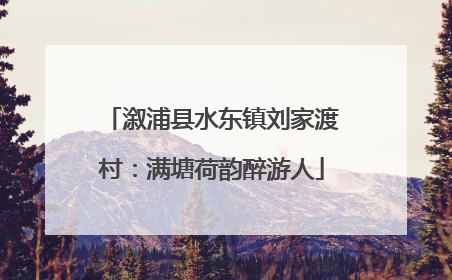 溆浦县水东镇刘家渡村：满塘荷韵醉游人