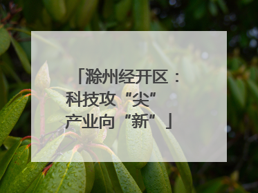 滁州经开区：科技攻“尖” 产业向“新”