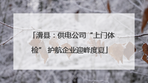 滑县：供电公司“上门体检” 护航企业迎峰度夏