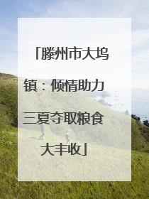滕州市大坞镇：倾情助力三夏夺取粮食大丰收