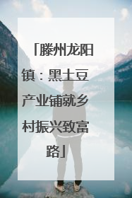滕州龙阳镇：黑土豆产业铺就乡村振兴致富路