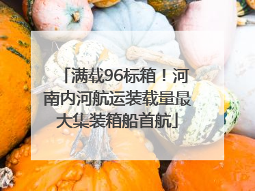 满载96标箱！河南内河航运装载量最大集装箱船首航