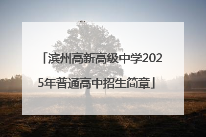 滨州高新高级中学2025年普通高中招生简章