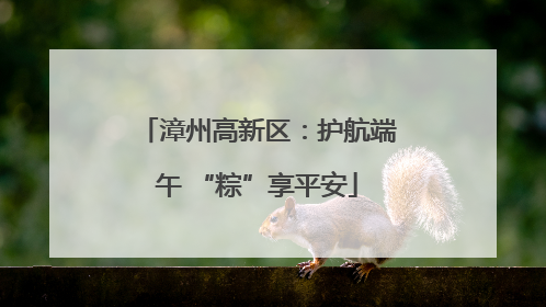 漳州高新区：护航端午 “粽”享平安