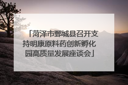 菏泽市鄄城县召开支持明康原料药创新孵化园高质量发展座谈会
