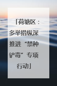 荷塘区：多举措纵深推进“禁种铲毒”专项行动