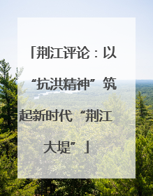 荆江评论：以“抗洪精神”筑起新时代“荆江大堤”