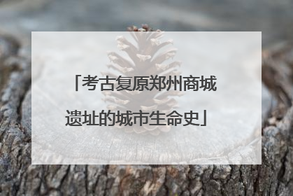 考古复原郑州商城遗址的城市生命史