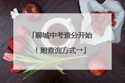 聊城中考查分开始！附查询方式→