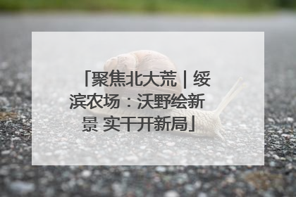 聚焦北大荒｜绥滨农场：沃野绘新景 实干开新局