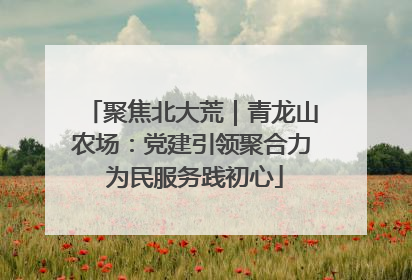 聚焦北大荒｜青龙山农场：党建引领聚合力 为民服务践初心