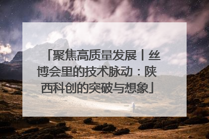 聚焦高质量发展丨丝博会里的技术脉动：陕西科创的突破与想象