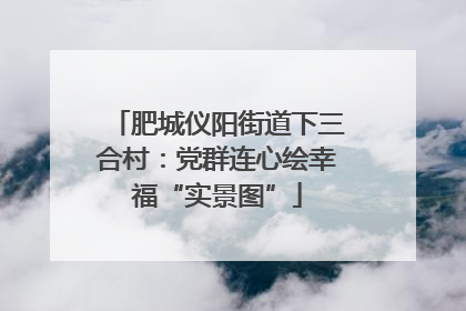 肥城仪阳街道下三合村：党群连心绘幸福“实景图”