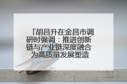 胡昌升在金昌市调研时强调：推进创新链与产业链深度融合 为高质量发展塑造新动能新优势