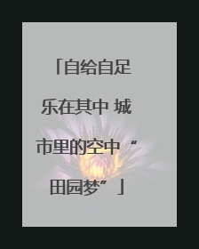 自给自足 乐在其中 城市里的空中“田园梦”